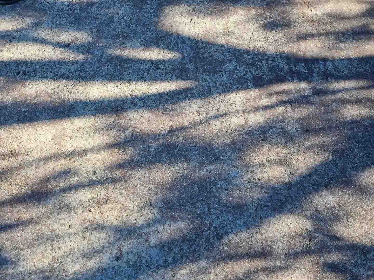Close-up of smooth concrete with exposed stone aggregate in dappled shade